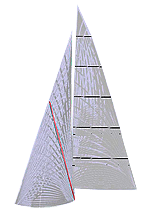 5---cruise-d